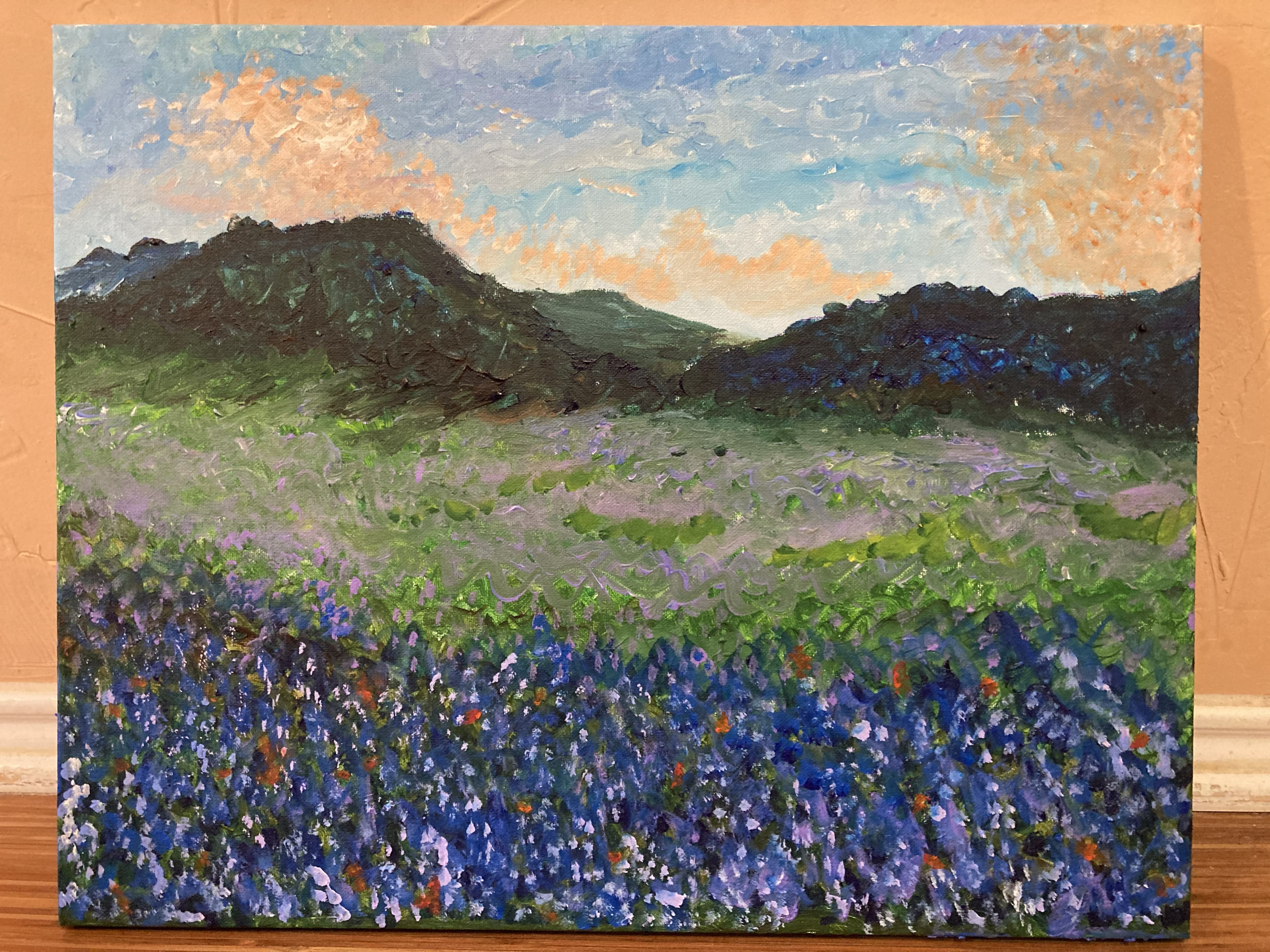 A meadow full of bluebonnets and Indian paintbrushes with some mountains in the background